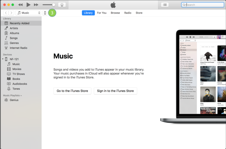 device icon in iTunes