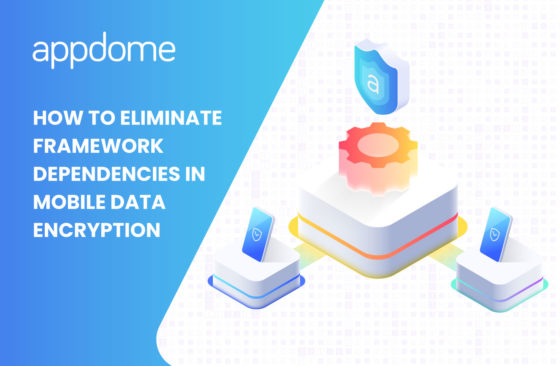 How to Eliminate Framework Dependencies in Mobile Data Encryption