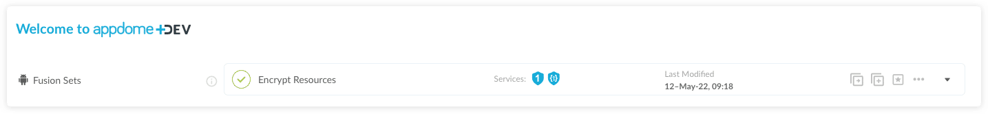 Fusion Set applied Encrypt Resources