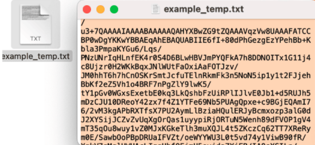 Copy text to environment variable