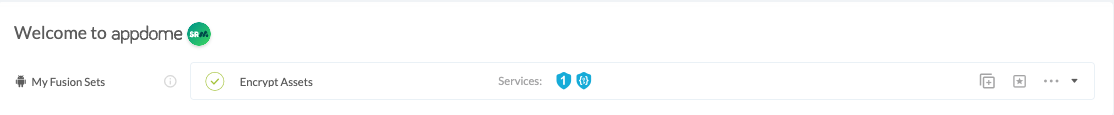 Fusion Set applied Encrypt Assets