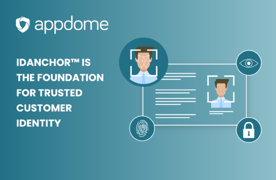 Idanchor Launch Blog 2 Color