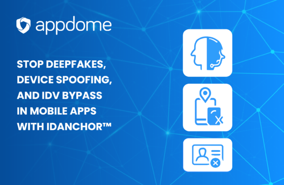 Idanchor Launch Blog 5