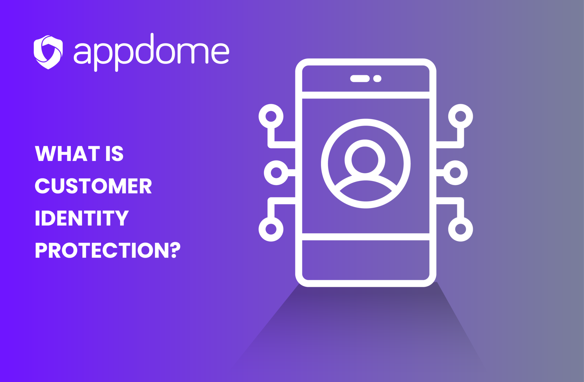 What Is Customer Identity Protection? Blog Post 1